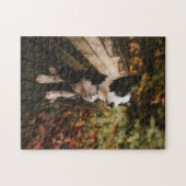 犬のパズル動物の写真かわいい悲しい子犬の子犬の写真 ジグソーパズル (横)