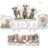 犬のパッケージ, 楽しい犬のパッケージ シール (正面)