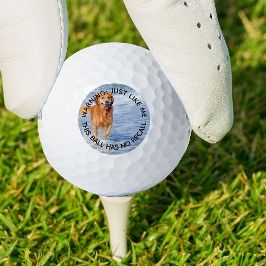 犬のパパこれは思い出しの写真おもしろいがない ゴルフボール