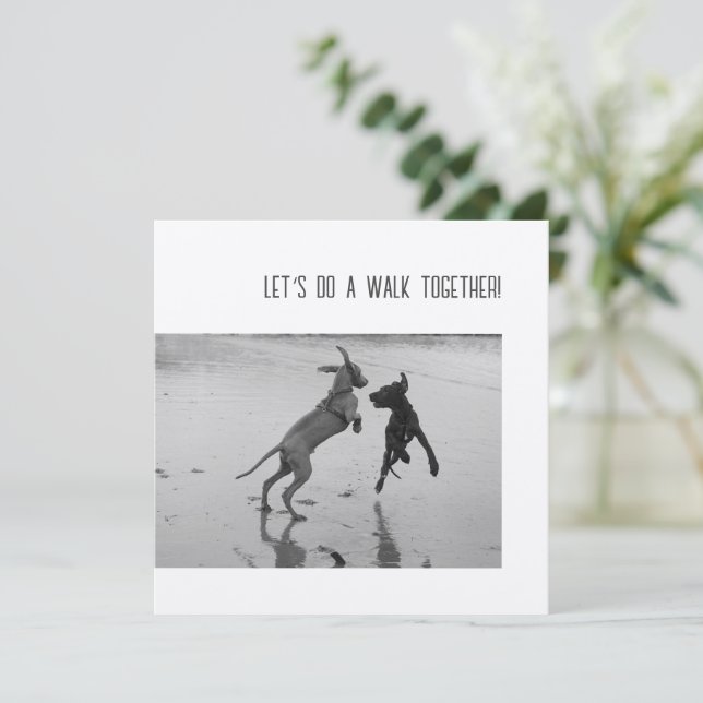 犬のパーティーまたはポーティ (スタンド正面)