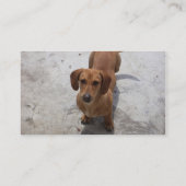 犬のビジネスカード 名刺 (裏面)