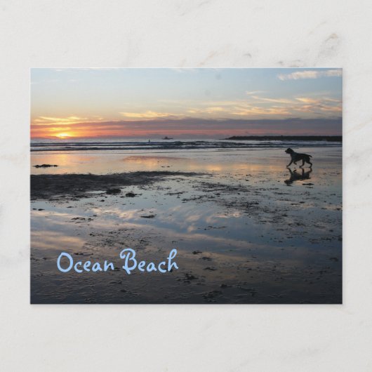 犬のビーチ、海ビーチ ポストカード (正面)