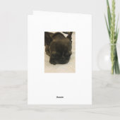 犬のファートカード カード (裏面)