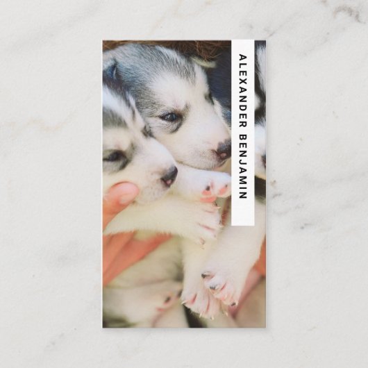 犬のブリーダー&トリマー写真QRコード名刺 名刺 (正面)