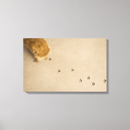 犬のプリントオンカーペット キャンバスプリント (正面)