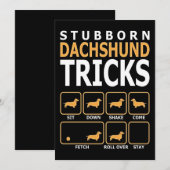 犬のプレゼント | 意固地なダックスフンドの芸 シーズンカード (正面/裏面)