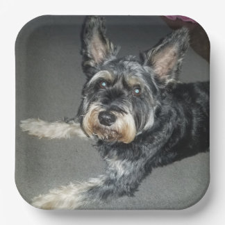 犬のプレート ペーパープレート