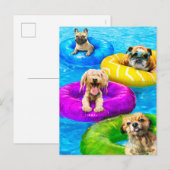 犬のプールパーティー インビテーションポストカード (正面/裏面)