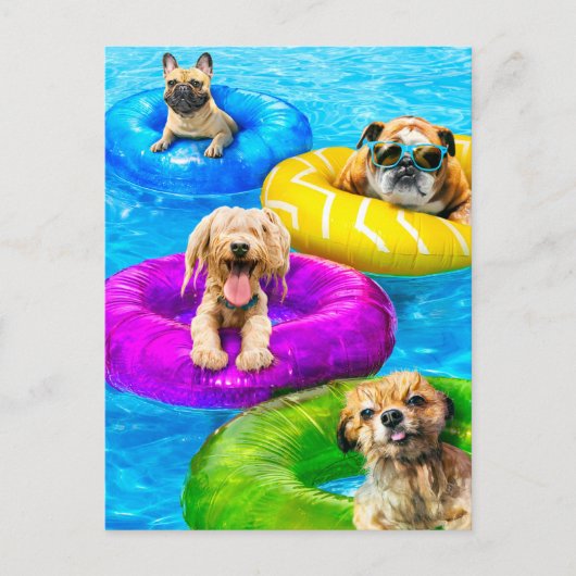 犬のプールパーティー インビテーションポストカード (正面)