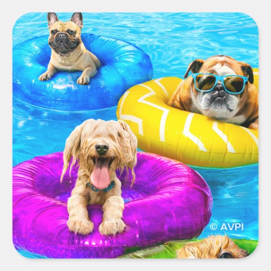 犬のプールパーティー スクエアシール (正面)
