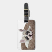 犬のベッドにあっているフレンチ・ブルドッグの子犬 ラゲッジタグ (正面縦)