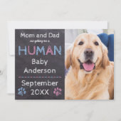 犬のベビー妊娠の発表 案内状 (正面)