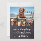 犬のペットのメモリアルカスタム4フォトコラージュ サンキューカード (正面)