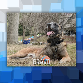 犬のペットの写真と名前、家族の夜、クールおもしろいカスタム ジグソーパズル