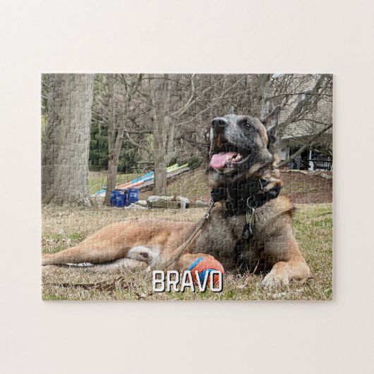 犬のペットの写真と名前、家族の夜、クールおもしろいカスタム ジグソーパズル (横)