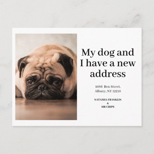 犬のペットの写真の新しいアドレス移動モダン 案内ポストカード (正面)