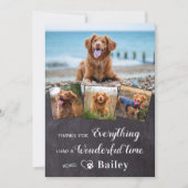 犬のペットの記念撮影4パーソナライズされた写真 サンキューカード (正面)