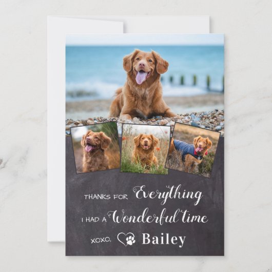 犬のペットの記念撮影4パーソナライズされた写真 サンキューカード (正面)