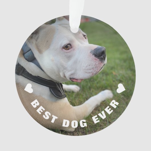 犬のペットの詩の写真オレンジ記念記念キープサケ オーナメント (正面)