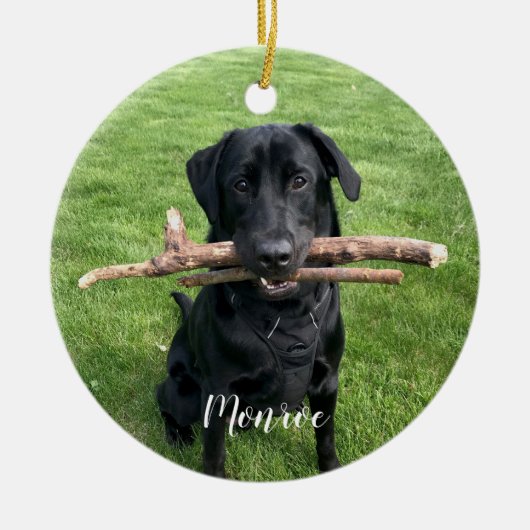 犬のペットパーソナライズされたの名前と写真の休日 セラミックオーナメント (正面)