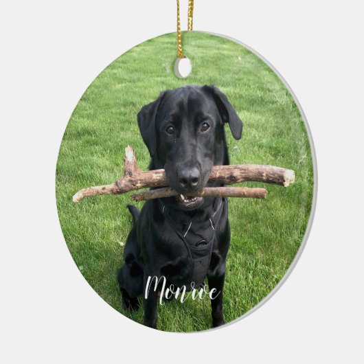 犬のペットパーソナライズされたの名前と写真の休日 セラミックオーナメント (左)