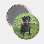 犬のペットパーソナライズされたの名前と写真の休日 マグネット (正面/裏面)