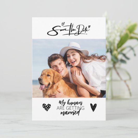 犬のペット素朴の写真は黒の日を保結婚存 招待状 (スタンド正面)