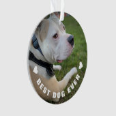 犬のペット詩写真オレンジ追悼記念品 オーナメント (正面)