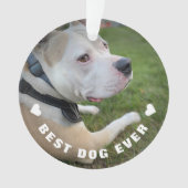 犬のペット詩写真オレンジ追悼記念品 オーナメント (正面)