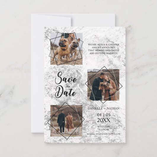 犬のペット3枚の写真婚約したカップル発表 (正面)