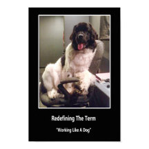 犬のポスターのような仕事