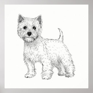 犬のポスター/ウォールアートウエストハイランドテリア ポスター