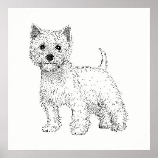 犬のポスター/ウォールアートウエストハイランドテリア ポスター (正面)