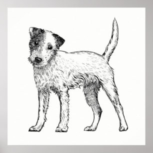 犬のポスター/ウォールアートジャック・ラッセル・テリア ポスター