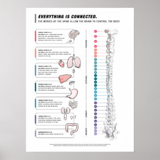 犬のポスター ポスター