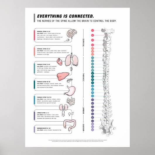 犬のポスター ポスター (正面)