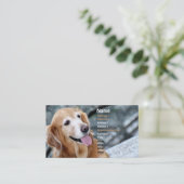 犬のポートレートか微笑のゴールデン・リトリーバーの写真撮影 名刺 (スタンド正面)