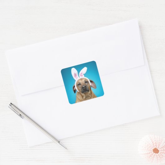 犬のポートレートイースターバニーの耳を着ている スクエアシール (封筒)