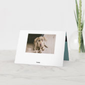 犬のポートレート カード (裏面)