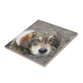 犬のポートレート タイル (側面)