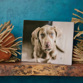 犬のポートレート フォトプラーク (側面)