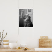 犬のポートレート, 1923.ヴィンテージ写真 ポスター (キッチン)