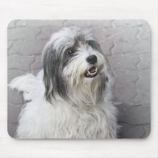 犬のマウスパッド マウスパッド (正面)