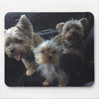 犬のマウスパッド マウスパッド