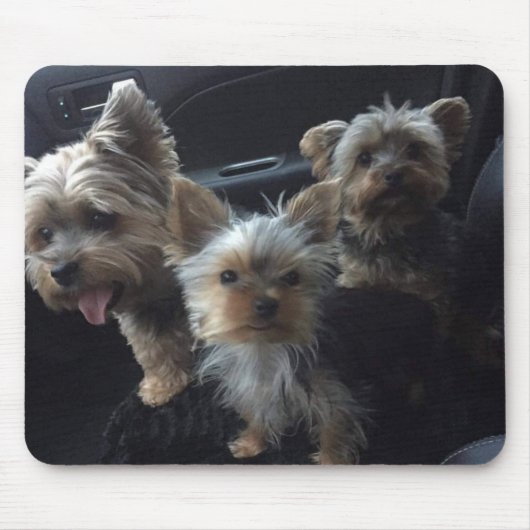 犬のマウスパッド マウスパッド (正面)