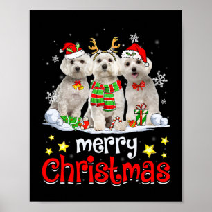 犬のマルチーズメリークリスマスキュートマルチーズドッグクリス ポスター