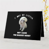 犬のマルチーズ甘やかされたマルチーズ犬のデザインおもしろい引用文 カード (黄色い花)