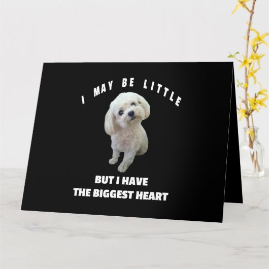 犬のマルチーズ甘やかされたマルチーズ犬のデザインおもしろい引用文 カード (黄色い花)