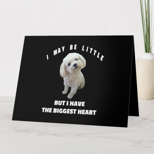 犬のマルチーズ甘やかされたマルチーズ犬のデザインおもしろい引用文 カード (正面)