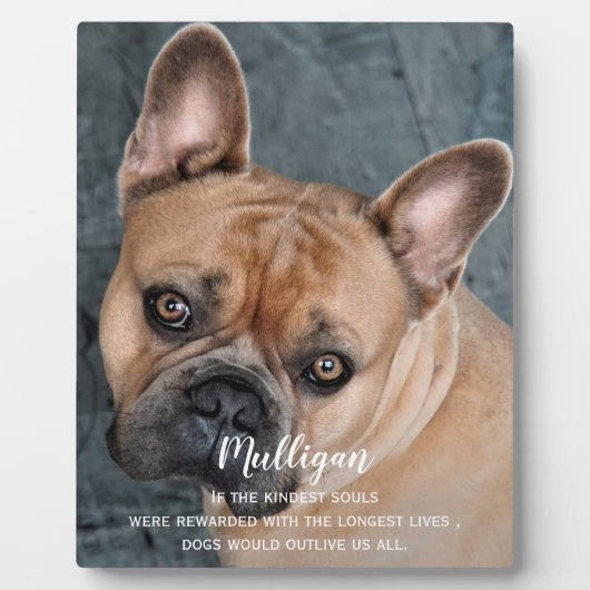 犬のメモリアルギフト – ペット損失記念悔やみや弔慰 – 犬の家族 フォトプラーク (正面)